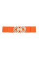 Shisha Belt (orange)