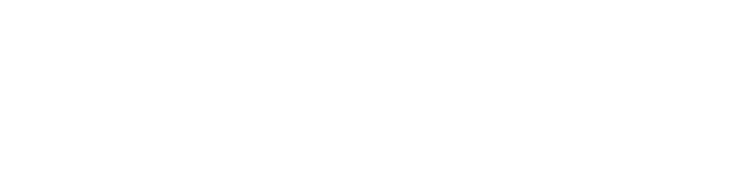 Denta Leader