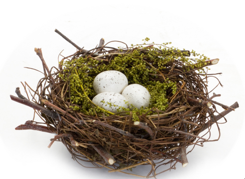 Nest, Small With White Eggs and Twigs
