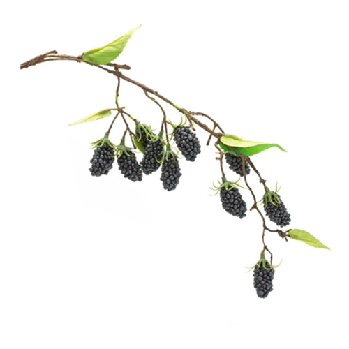 Vine, Blackberry