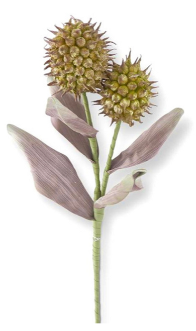 Stem, Green & Burgundy Double Spike Pod Stem, Green & Burgundy Double Spike Pod