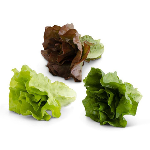 Lettuce, Real Touch Assorted Romaine