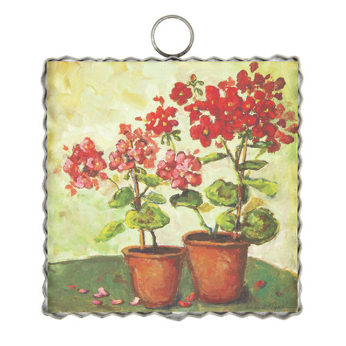 Mini Gallery, Potted Geraniums 6x6