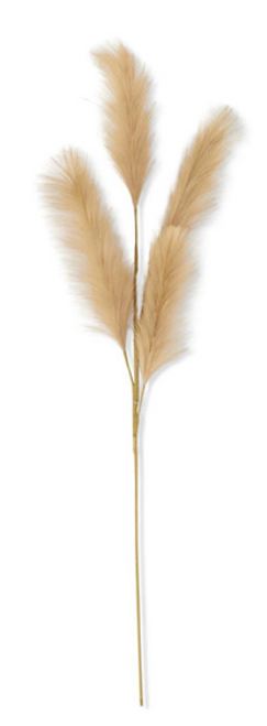 Pompas Grass, Beige 42" Pompas Grass, Beige 42"