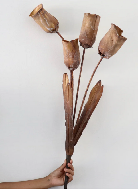 Stem, 38" Botanica Pods Stem, 38" Botanica Pods