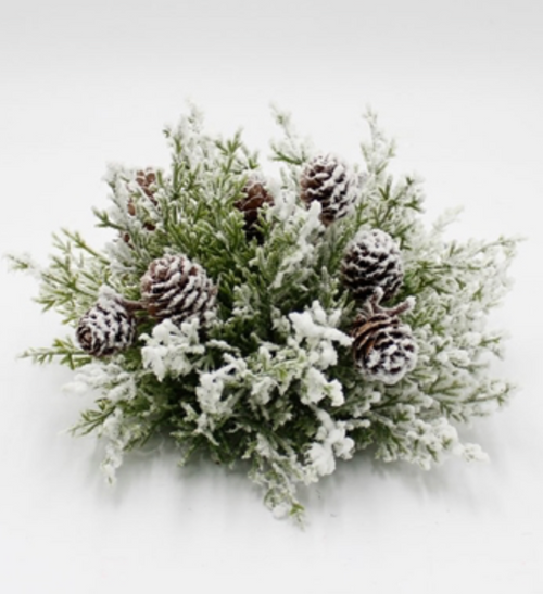 Drop-In, Arborvitae Snowy Pine With Pinecones