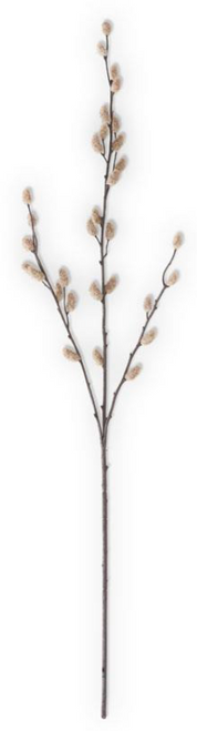 Stem, Tan Pussy Willow 33" Stem, Tan Pussy Willow 33"