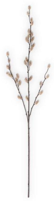 Stem, Tan Pussy Willow 33"