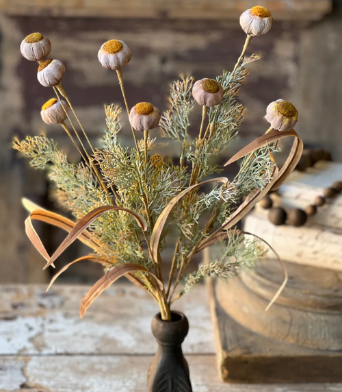 Bush, Poppy Pod 22" Bush, Poppy Pod 22"