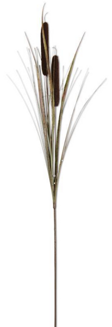 Stem, Dark Brown Double Cattail 43" Stem, Dark Brown Double Cattail 43"