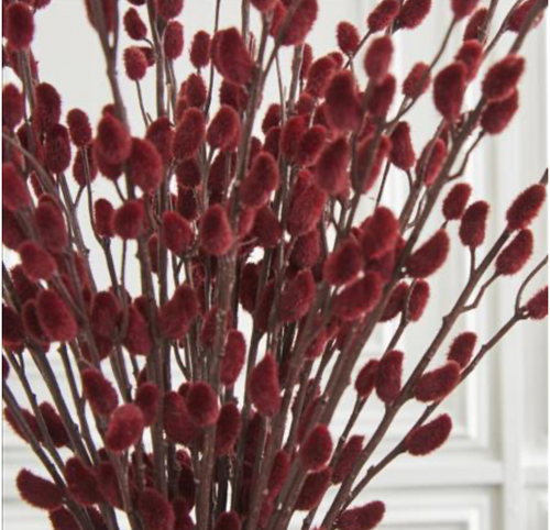 Stem, Burgundy Pussy Willow 33" Stem, Burgundy Pussy Willow 33"