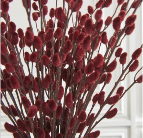 Stem, Burgundy Pussy Willow 33"