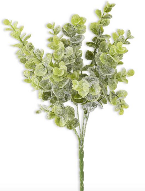 Bush, Glittered Snowy Eucalyptus