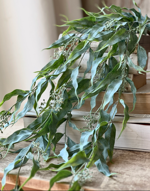 Hanging Vine, Ripley 42"