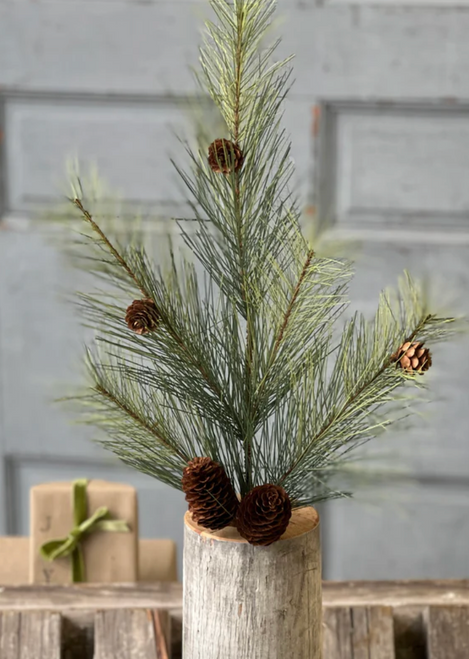 Spray, Southern Pine 24"