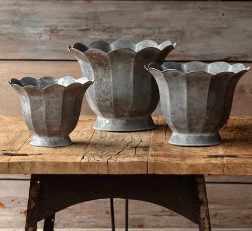 Planter, Scalloped Trompette Metal