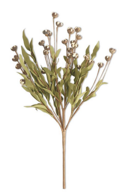 Bush, Mini Cotton Pod 22"