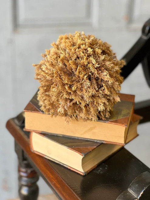 *NEW* Drop-In, Sungold Drop-In I 6" *NEW* Drop-In, Sungold Drop-In I 6"