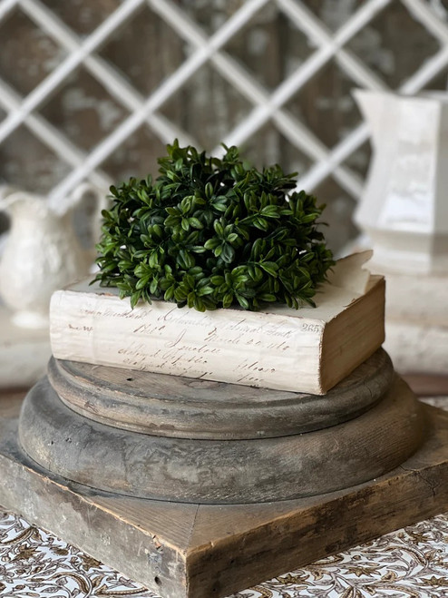 *NEW* Drop-In, Galilee Boxwood 7"