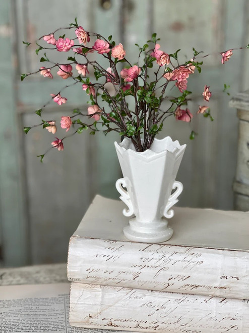 *NEW* Bush, Quince Blooms Blush