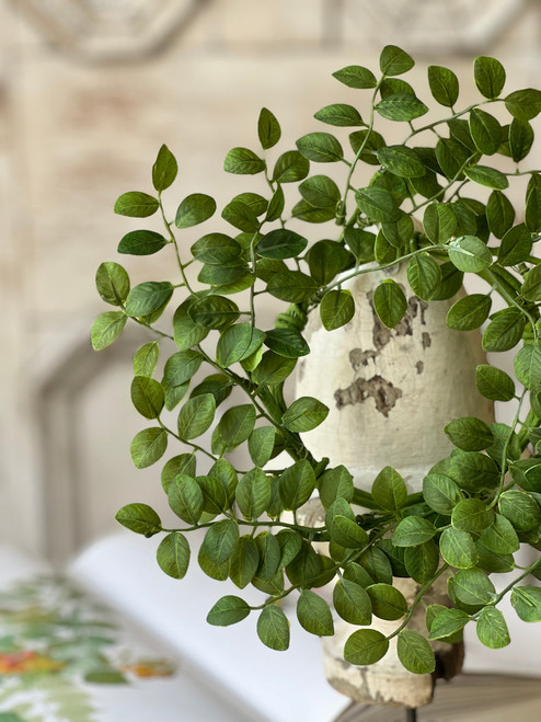 *NEW* Candle Ring, WIlder Leaf