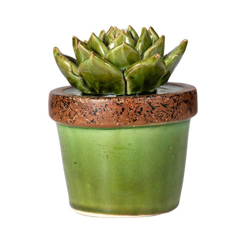 Ceramic Succulents