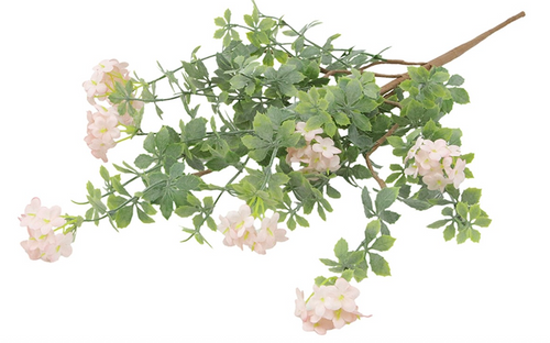 Picks, Light Pink Flower Eucalyptus