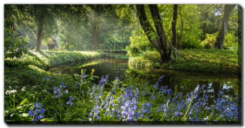 Wall Art, Early Sunshine Bluebells 30 x 60