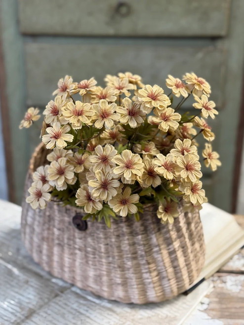 *NEW* Bush, Courtland Cosmos