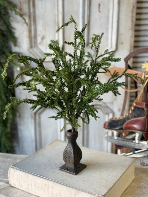 *NEW* Bush, Greenwood Valley