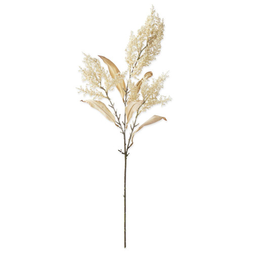 Stem, Cream Beargrass