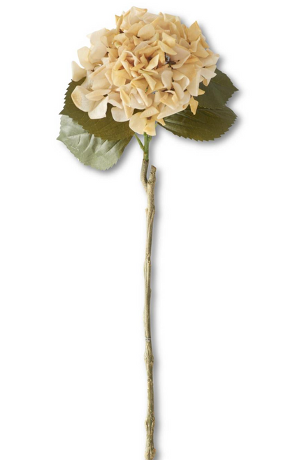 Stem, Cream Real Touch Hydrangea 24.5"