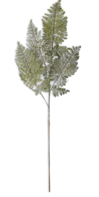 Long Stem Royal Fern, Soft Green, 36"