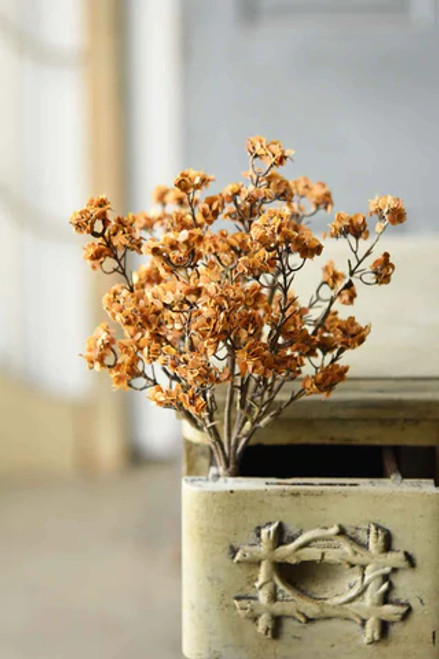 Bush, Orchard Blooms Mustard