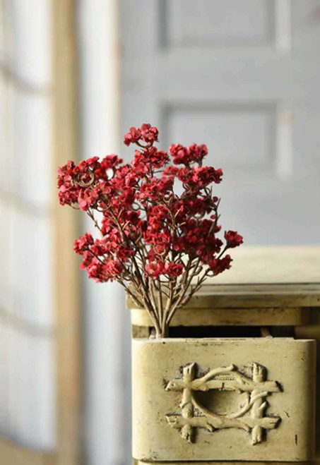 Bush, Orchard Blooms Sangria Bush, Orchard Blooms Sangria