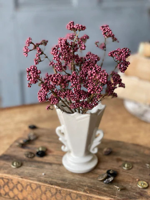 Bush, Avens Astilbe Purple