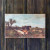 Wall Art, Cows In Pasture Print On Canvas