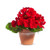Geranium In A Pot, Red 7.5"