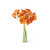 Spray, Ranunculus, Mini Orange