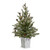 Tree, Pine Tree in White Container 22"