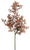 Stem, Japanese Maple 30"