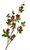 Spray, Hanging Berry and Leaf, 41"