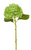 Stem, Real Touch Green Hydrangea Stem 19"