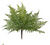 Fern, Soft Touch 20" Bracken Fern Dusty