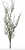 Branch,45"L Mossy