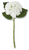 Stem, White Real Touch Hydrangea 20"