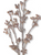 Stem, Powdered Dark Brown Berry 24"
