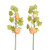Branch, Pumpkins on Branch with Leaves
