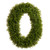 Wreath, Oval Sedium 32"