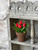 Tulip Pot Red
